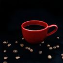 Lungo